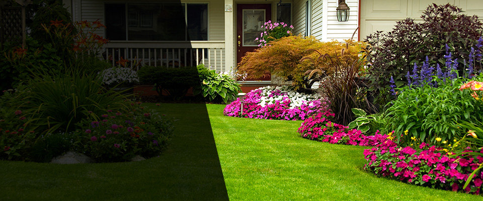 Moncks Corner Landscapers