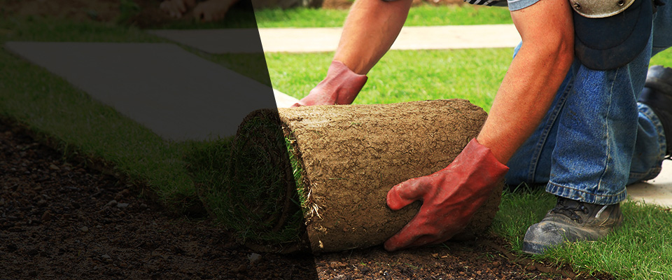 Moncks Corner Landscapers